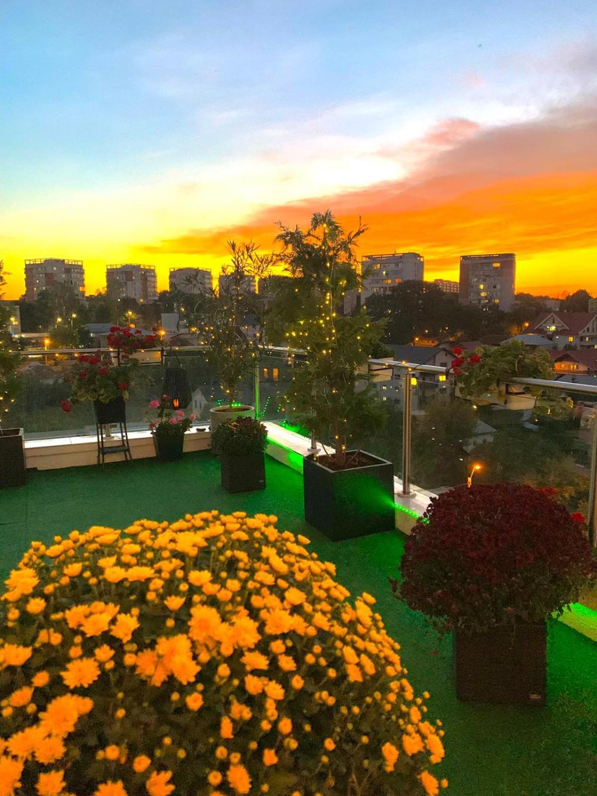Penthouse Aeroport Iasi Apartment Ngoại thất bức ảnh